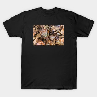 Colorful Autumn leaves on the ground T-Shirt